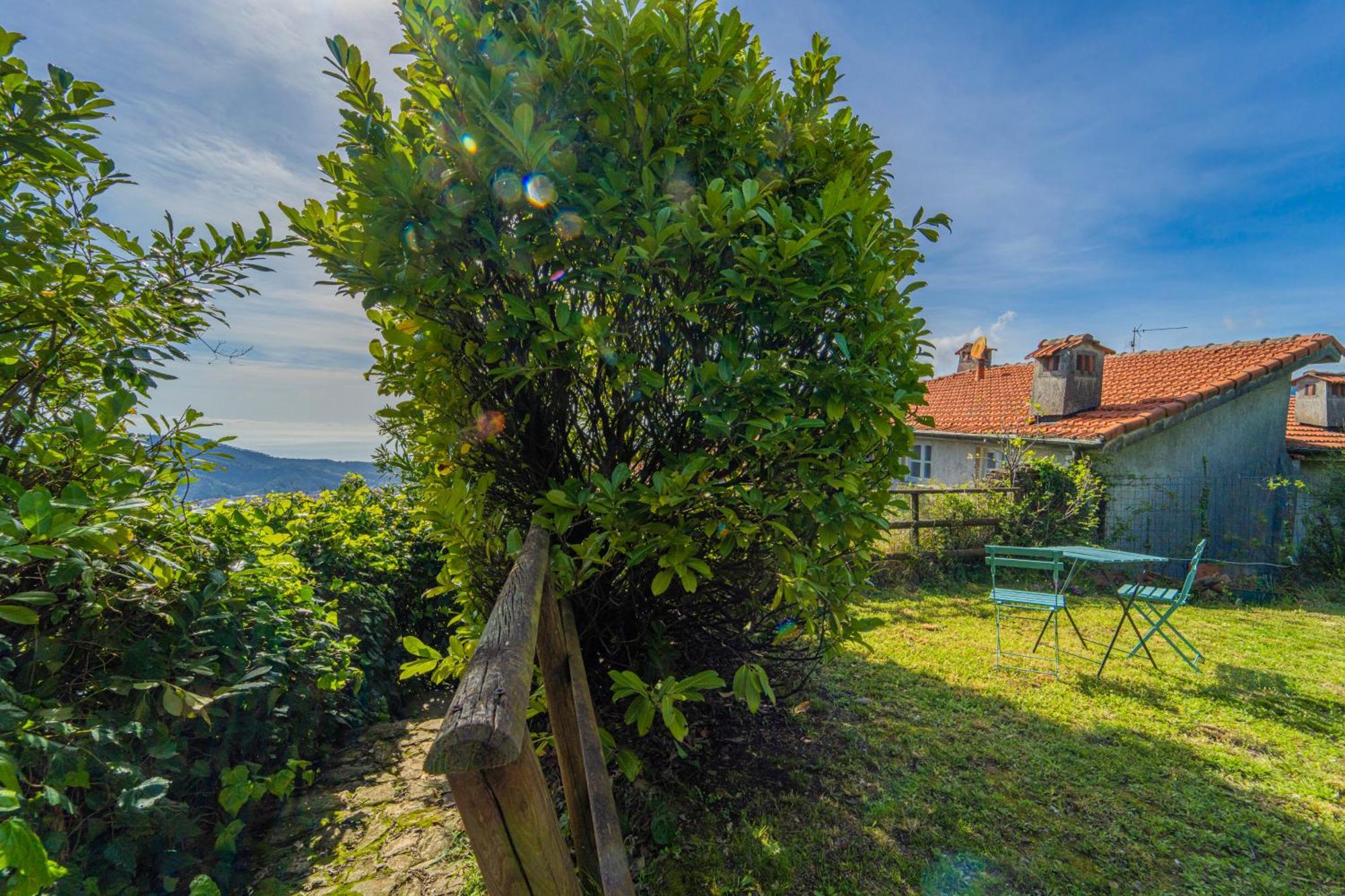 Villa Casale In Vigna, Cinqueterrecoast à Casarza Ligure Chambre photo